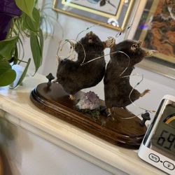 Electric Unicorn Tattoo Studio - Decor