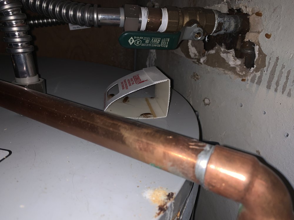 WOODLAKE MANOR APARTMENTS Updated September 2024 22 Photos & 13 Reviews 4555 W. Martin