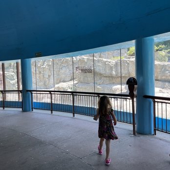 Zoológico de Chapultepec - Zoos Near Me - México, D.F., DIF Zoológico de Chapultepec - Zoos Near Me - México, D.F., DIF