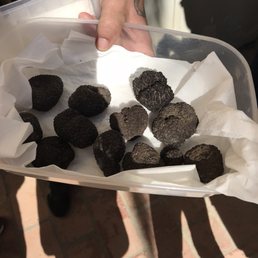 Black truffles