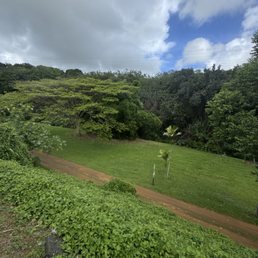 Pretty grassy area Pretty grassy area