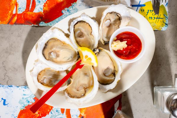 J’s Oyster by null