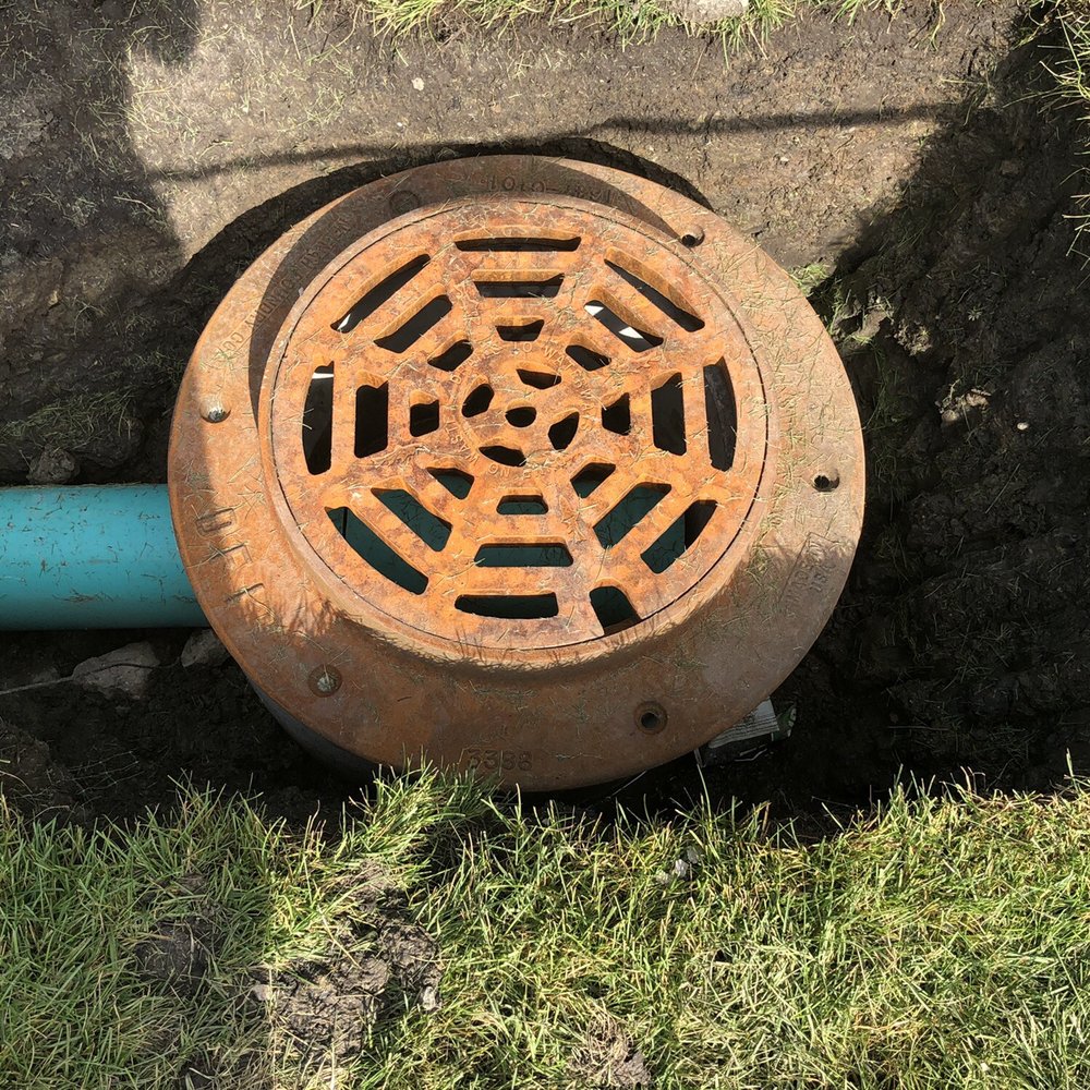 Ryan's Landscape - a drain in the ground - Tree Services Near Me - Lisle, Illinois Ryan's Landscape - a drain in the ground - Tree Services Near Me - Lisle, Illinois