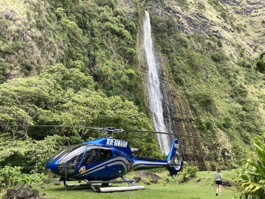 Blue Hawaiian Helicopters by null