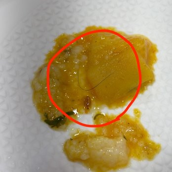Foodistaan - Human Hair in the food - Breakfast & Brunch Near Me - Cedar Park, Texas