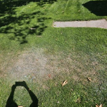 The Allay Group - Out grass they painted and stated oh well it will grow just cut it!! - Damage Restoration Near Me - Nampa, Idaho The Allay Group - Out grass they painted and stated oh well it will grow just cut it!! - Damage Restoration Near Me - Nampa, Idaho