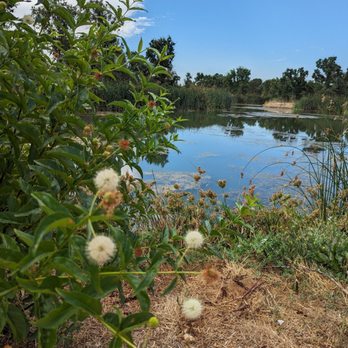 The Preserve at District 56 - Pond - Parks Near Me - Elk Grove, California The Preserve at District 56 - Pond - Parks Near Me - Elk Grove, California