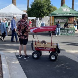 Litchfield Park - Dogs are welcome