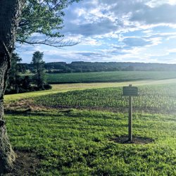 Molasses Creek Park - One of the many beautiful views from the upper loop near sunset.