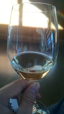 Moorilla Winery by null