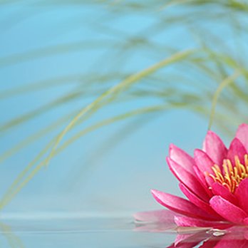 Redbud Float & Spa - Skin Care Near Me - Ukiah, California