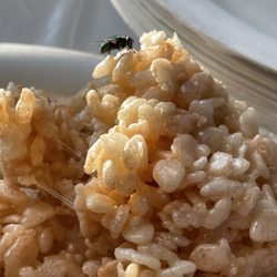 Acton Tours - Rice crispers were a such a treat!