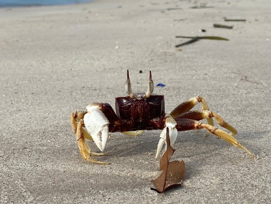 Four Seasons Resort Langkawi, Malaysia by null