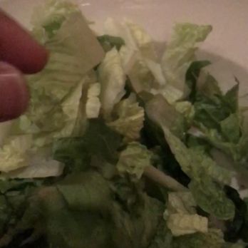 Blue Marlin - This is the Lettuce that the Blue Marlin CHARGED me $9.29. - Seafood Near Me - Columbia, South Carolina