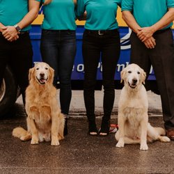 Carter’s My Plumber