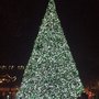 Photo of Central Park