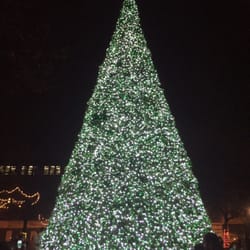 Central Park - It's definitely Christmas time.