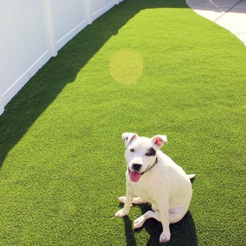 Preferred Turf - Artificial Turf Near Me Preferred Turf - Artificial Turf Near Me