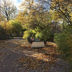 Katajanokka - Park. October 2017