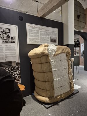 New Bedford Whaling Museum by null