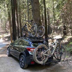 Sun Bike Shop - Mountain Bikes