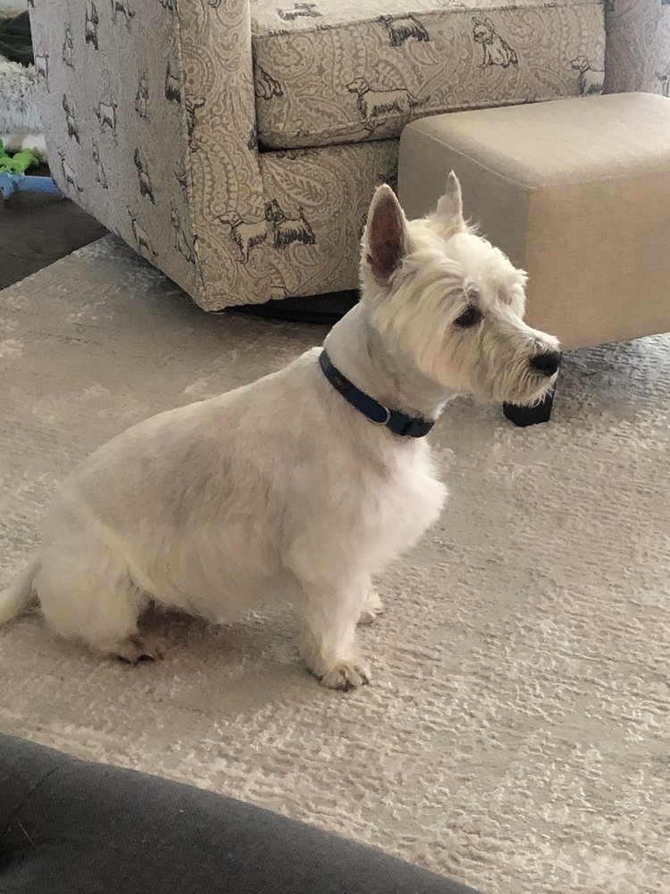 Woofie's of Leland Image