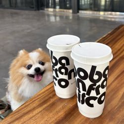 Little Sweet - Love this space! The milk teas were bad tho, watery and overly sweet.