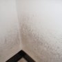 Photo of Dcm Environmental Testing