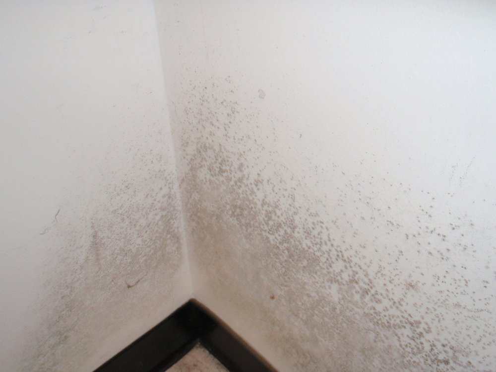 Dcm Environmental Testing - mold inspector in Quincy, MA