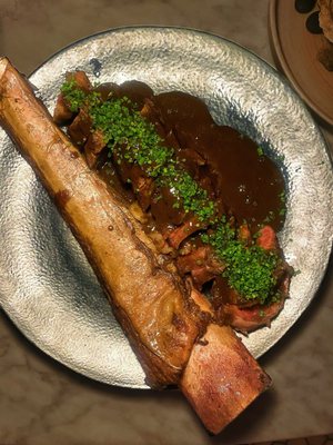 Fallen Feather by null