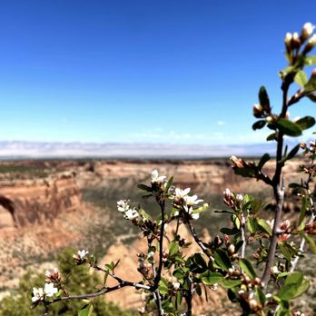 Colorado National Monument - Hiking Near Me - Fruita, Colorado Colorado National Monument - Hiking Near Me - Fruita, Colorado