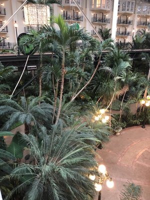 Same Day Service at Opryland Hotel Free Parking Updated April 2025 Same Day Service at Opryland Hotel Free Parking Updated April 2025