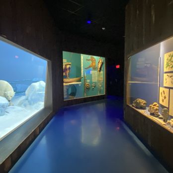 Milwaukee Public Museum - Museums Near Me - Milwaukee, Wisconsin