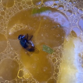 Dos Hermanos Mexican Restaurant - a bug in a pot of boiling water - Mexican Near Me - Edna, Texas