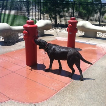 Heritage Bark Park - Splash pad - Dog Parks Near Me - Henderson, Nevada
