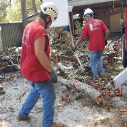 Trees Unlimited - Called Ray because a tree came down on my carport. He sent a crew out to take care of it the next day to evaluate and scheduled the removal