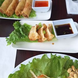 Som Tum Salad, chicken crispy spring roll, chicken dumpling