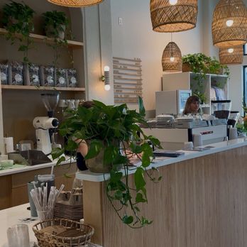 Lazy Daisy Coffee - Coffee & Tea Near Me - Columbia, South Carolina Lazy Daisy Coffee - Coffee & Tea Near Me - Columbia, South Carolina