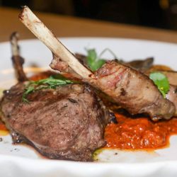 Alma de Espana - Cordero con Romesco
Succulent lamb paired with smoky romesco, creamy aioli, and roasted tomatoes -- a bold and flavorful!