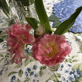 Henpecked Husband Nursery - Double ruffled tulips - Nurseries & Gardening Near Me - Riverhead, New York Henpecked Husband Nursery - Double ruffled tulips - Nurseries & Gardening Near Me - Riverhead, New York
