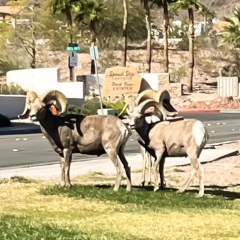 Hemenway Valley Park - Are you going my way! - Recreation Centers Near Me - Boulder City, Nevada Hemenway Valley Park - Are you going my way! - Recreation Centers Near Me - Boulder City, Nevada