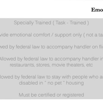 Maria Bonita - Emotional support animal
service animal
comparison chart - Mexican Near Me - Agua Dulce, California Maria Bonita - Emotional support animal
service animal
comparison chart - Mexican Near Me - Agua Dulce, California