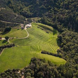 Alta Orsa Winery - Aerial photo of Alta Orsa's Regenerative Vineyard in Mendocino County, California.