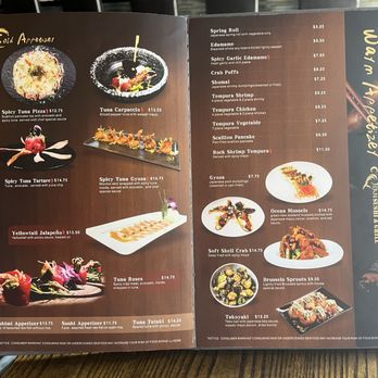 Ocean Sushi Grill - New menu - Asian Fusion Near Me - League City, Texas