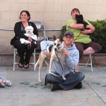J9's K9s Dog Training - Pet Training Near Me - Glendale, California J9's K9s Dog Training - Pet Training Near Me - Glendale, California