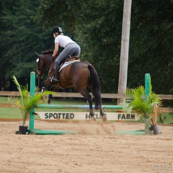 Spotted Hills Farm - Horseback Riding Near Me - Bowdon, Georgia Spotted Hills Farm - Horseback Riding Near Me - Bowdon, Georgia
