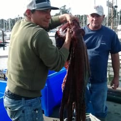 Castagnola's Fresh Local Seafood - 60lb octopus, did you know an octopus's lifespan is only 2 years?