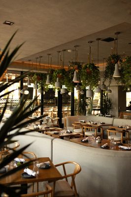 Cala Scottsdale by null