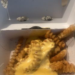 Shake Shack Charlotte Premium Outlets - Burnt fries