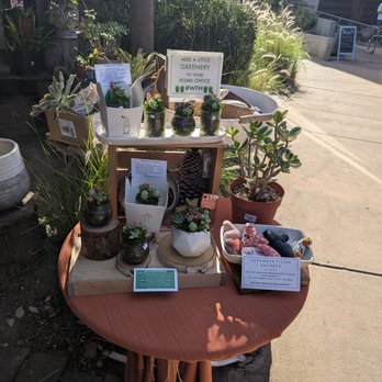 Organic Designs By Aggelige - Nurseries & Gardening Near Me - Costa Mesa, California